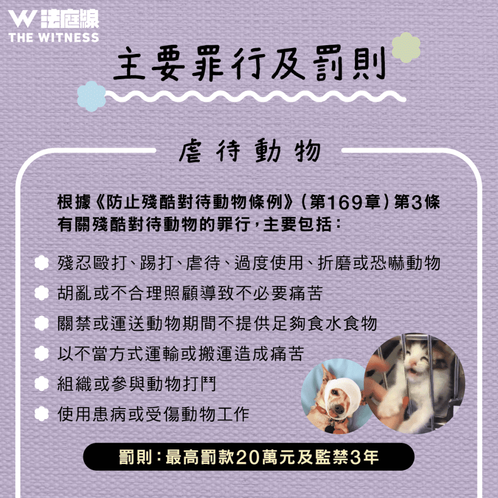 法律101|香港動物保護法制懶人包
