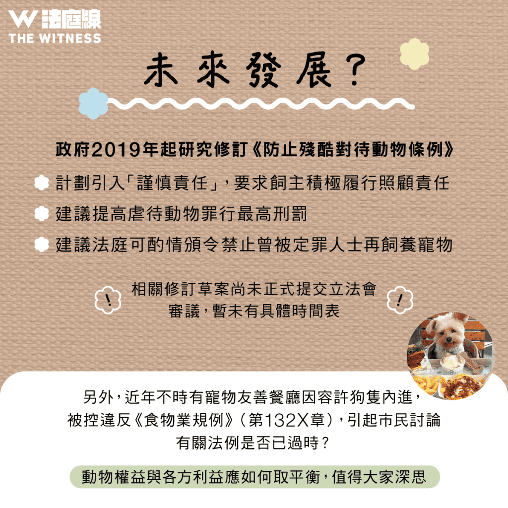 法律101|香港動物保護法制懶人包