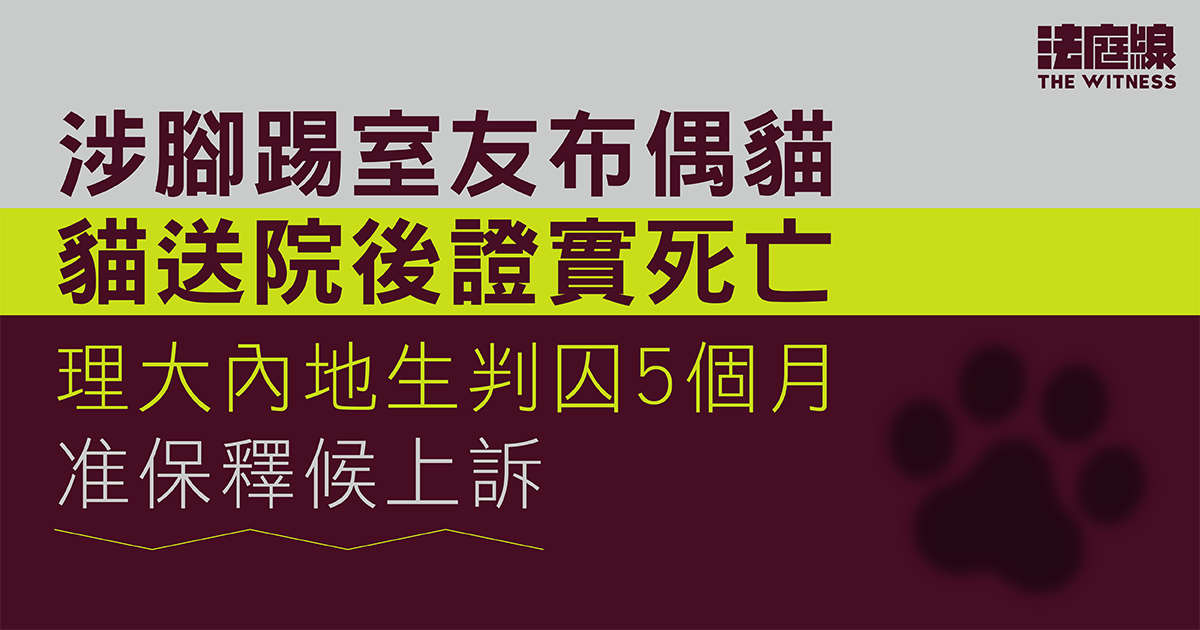 涉腳踢室友布偶貓　理大生殘待動物罪成判囚5個月　准保釋候上訴