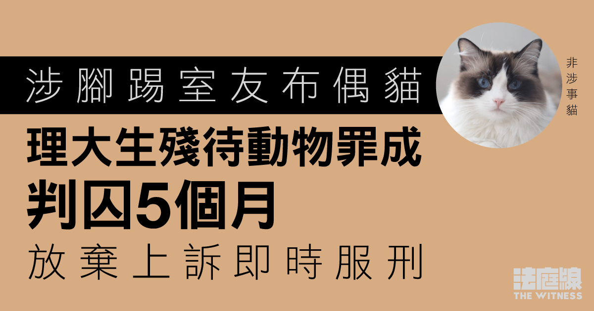 涉腳踢室友布偶貓　理大生殘待動物罪成判囚5個月　放棄上訴即時服刑