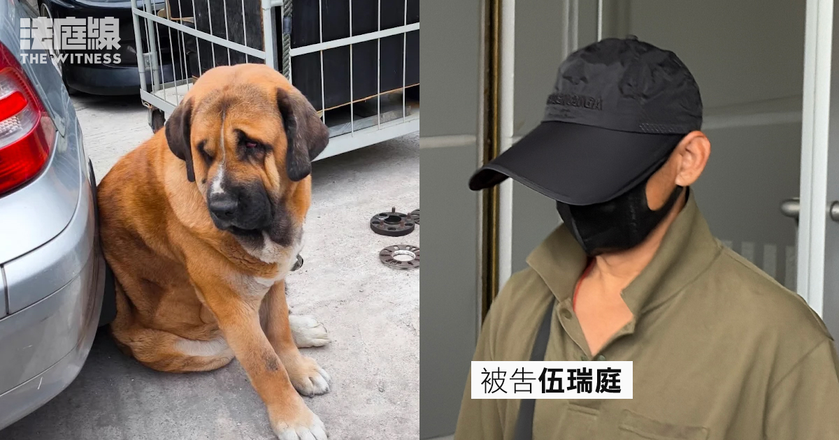 元朗狗咬狗事件 被告伍瑞庭 拉里