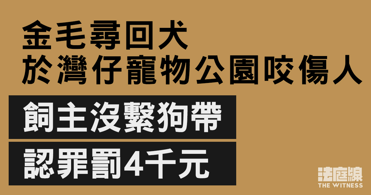 金毛尋回犬於寵物公園咬傷人　飼主沒繫狗帶認罪罰4千元　官提近日犬隻事故囑狗主多留意
